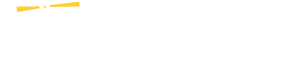 Logo Breizh-IX Blanc